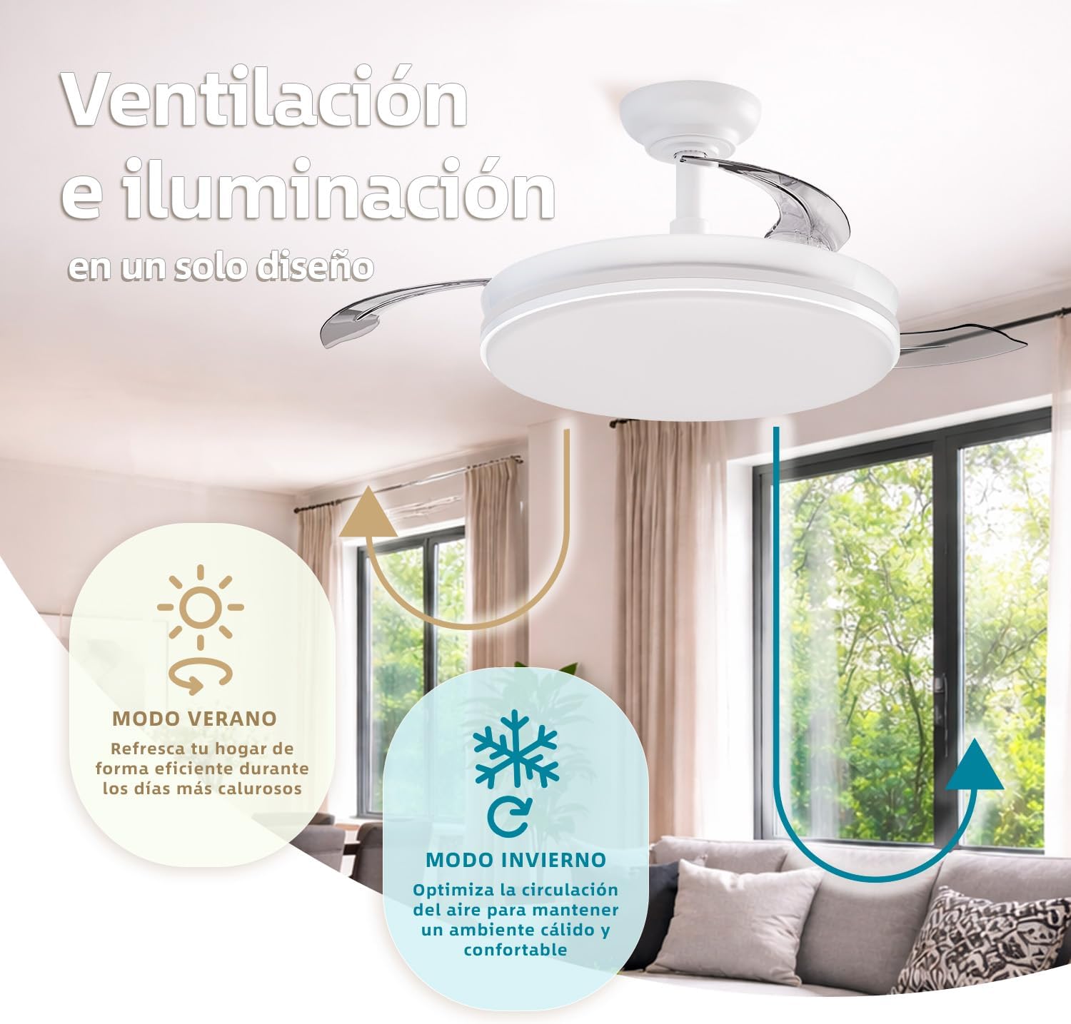 Imagen 6